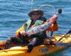 kayak fishing bonito