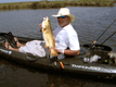 kayak fishing redfish photo